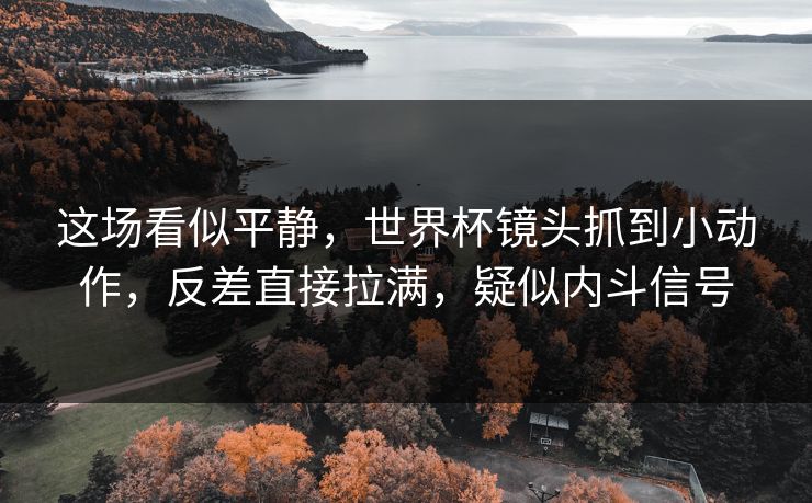这场看似平静，世界杯镜头抓到小动作，反差直接拉满，疑似内斗信号