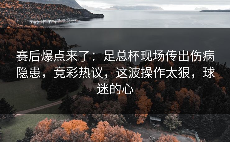 赛后爆点来了：足总杯现场传出伤病隐患，竞彩热议，这波操作太狠，球迷的心