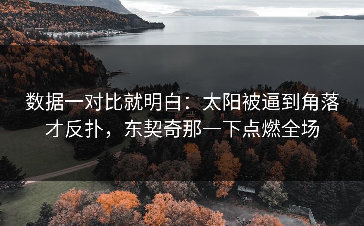 数据一对比就明白：太阳被逼到角落才反扑，东契奇那一下点燃全场